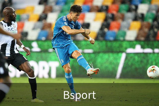 关于Bsport